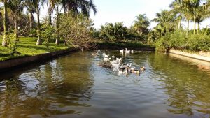 20160608_090003