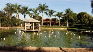 Lago 