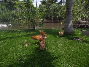 SAM_0937