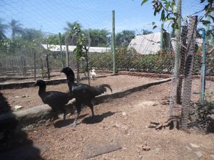 SAM_0947